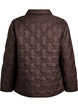 Lightly padded jacket with decorative quilting, Brown, Packshot image number 1
