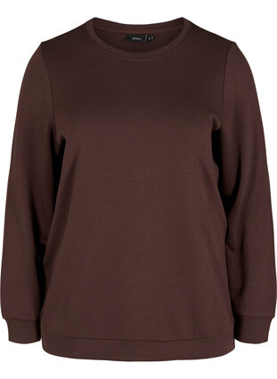 Sweat blouse with round neck and long sleeves, Molé, Packshot image number 0