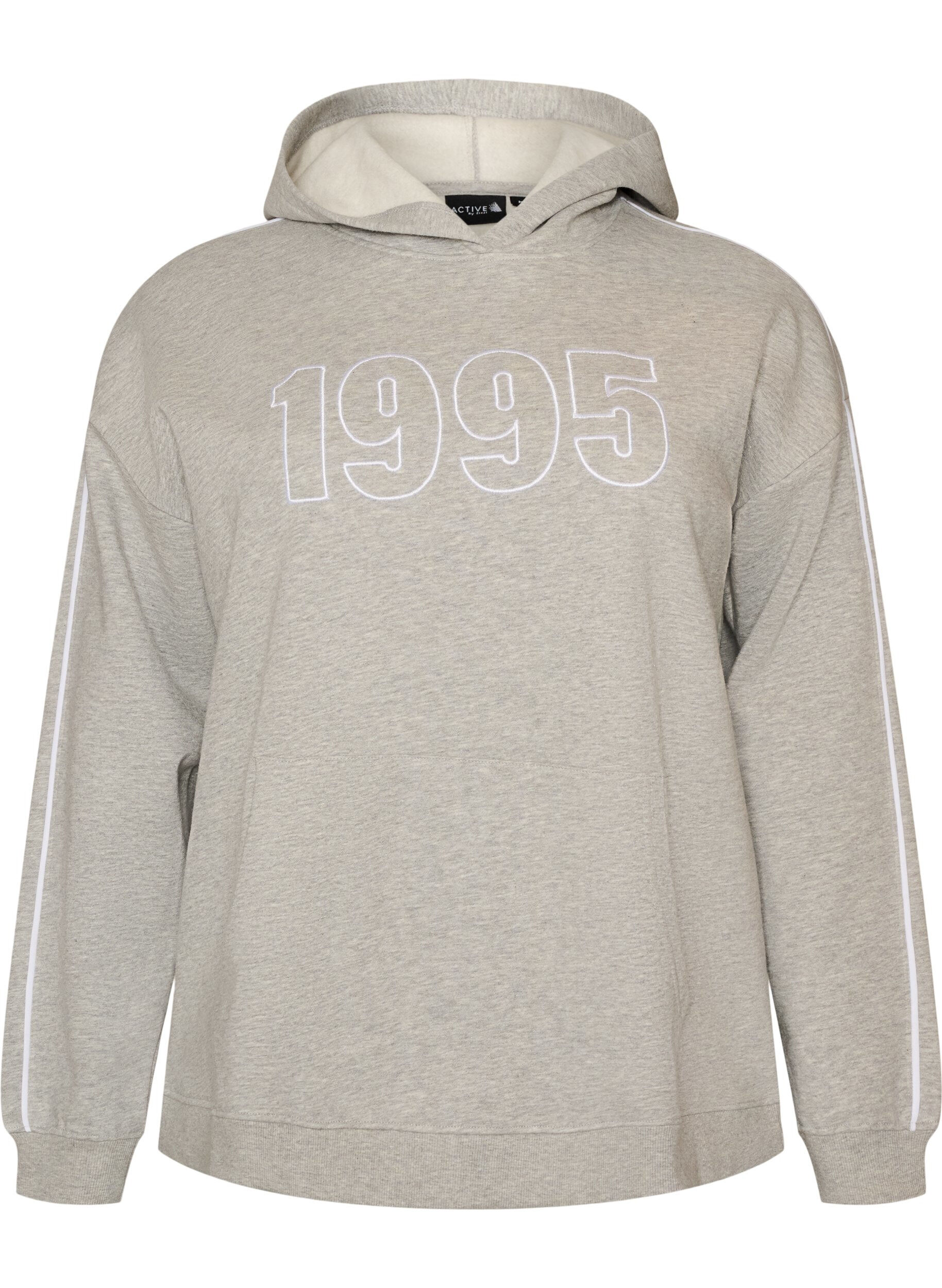 ZizzifashionHoodie with embroidered motif, Grey, Packshot image number 0
