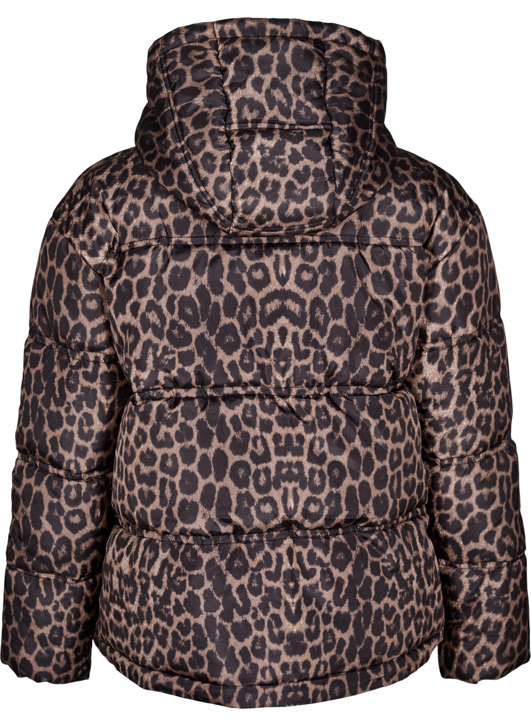 Zizzifashion Short puffer jacket with a hood and two-way zipper, Black, Packshot image number 1