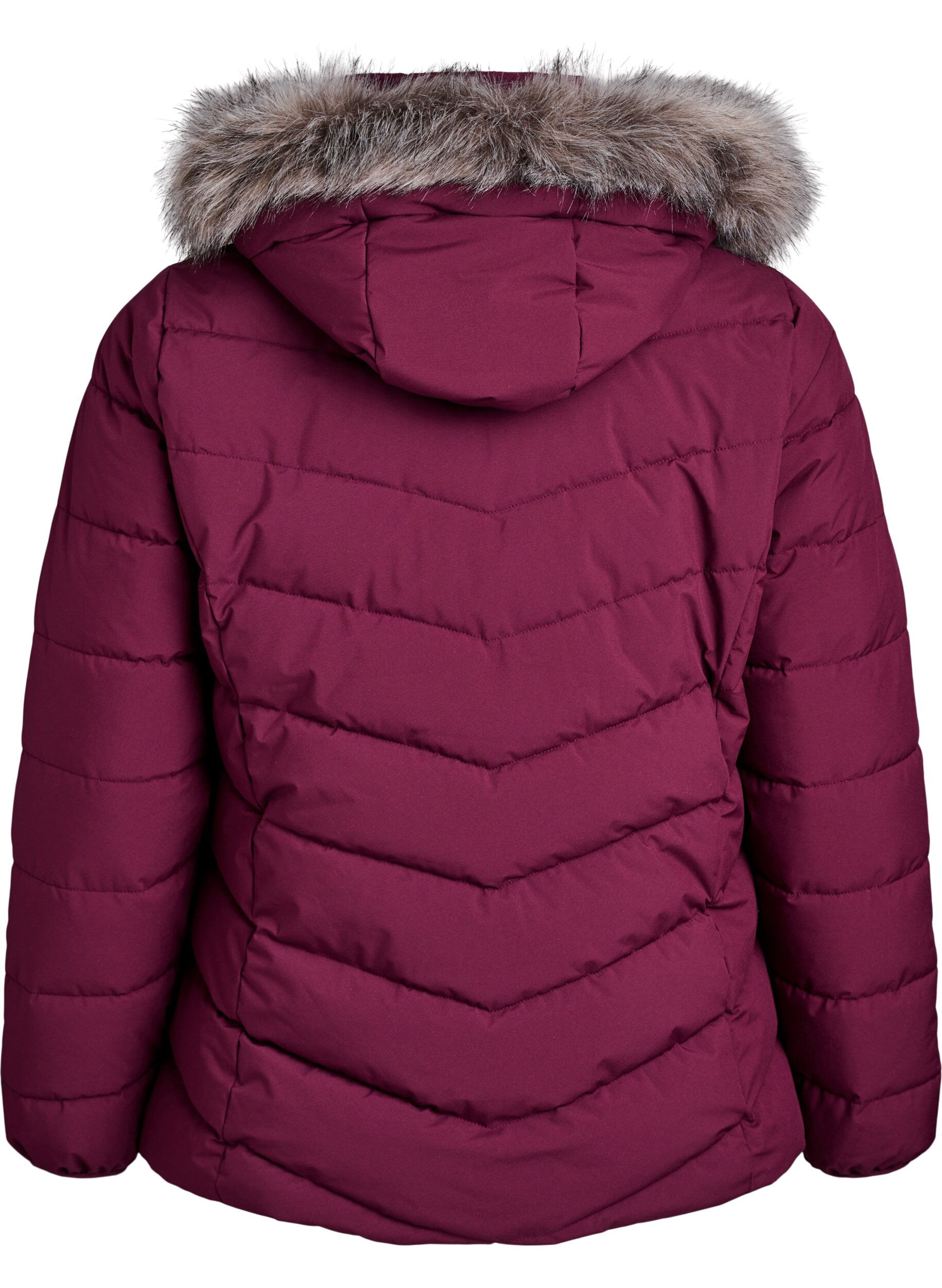 Zizzifashion Short puffer jacket with hood, Dark Bordeaux, Packshot image number 1