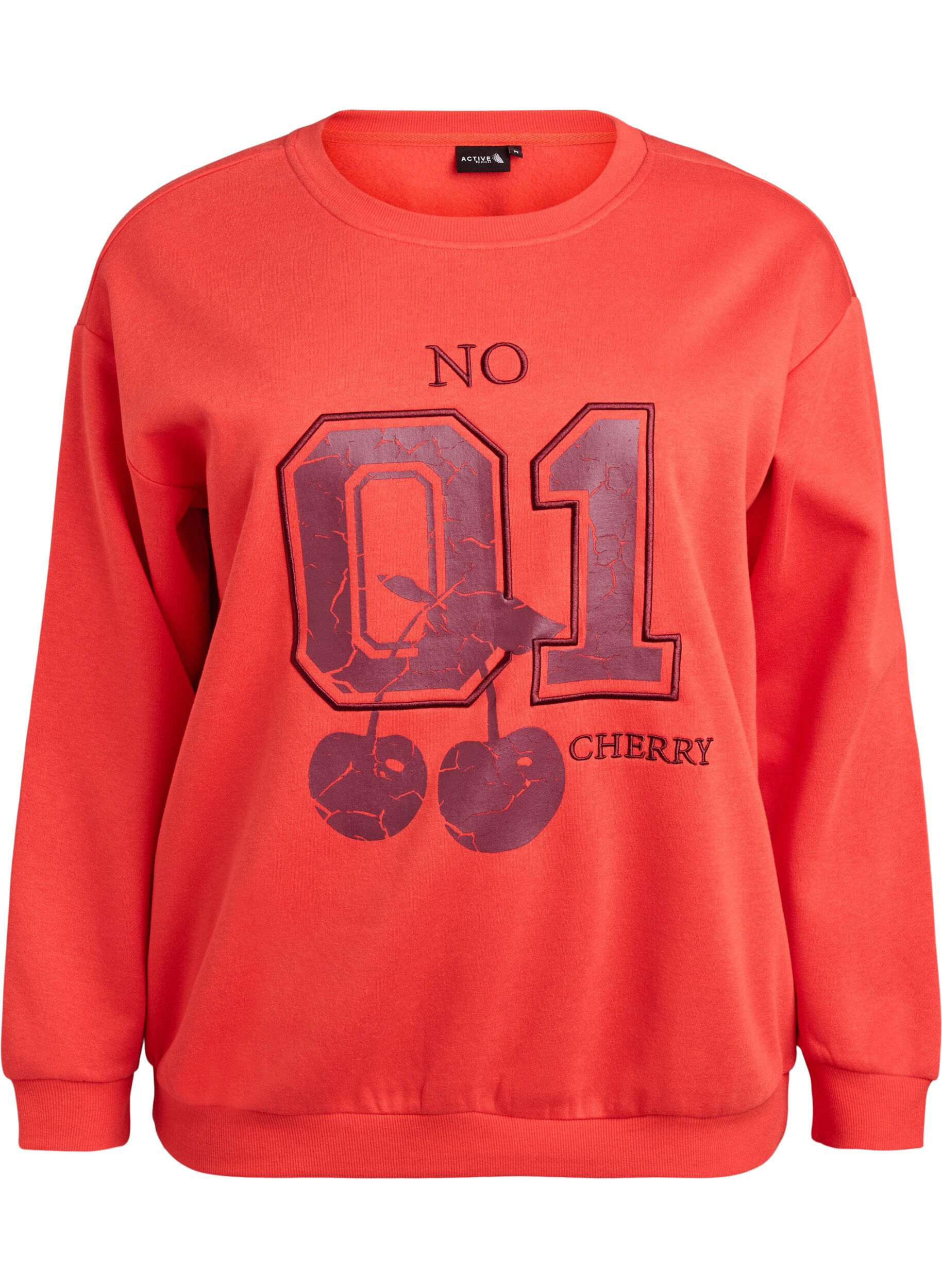 Sweatshirt with front motif
