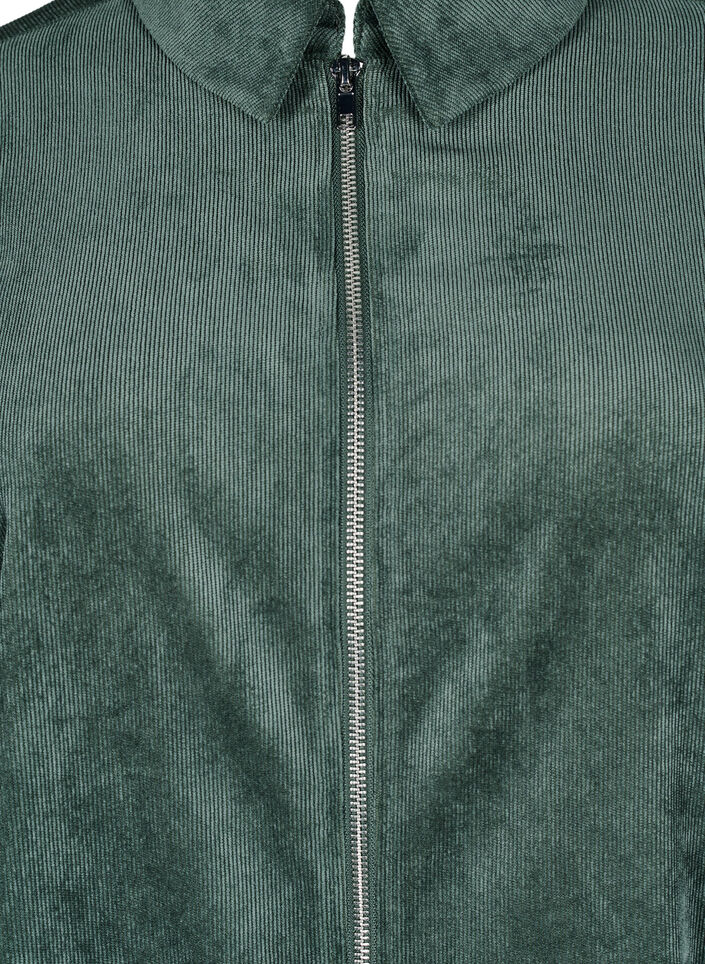 Velvet dress with zipper and 3/4 sleeves, Green, Packshot image number 2