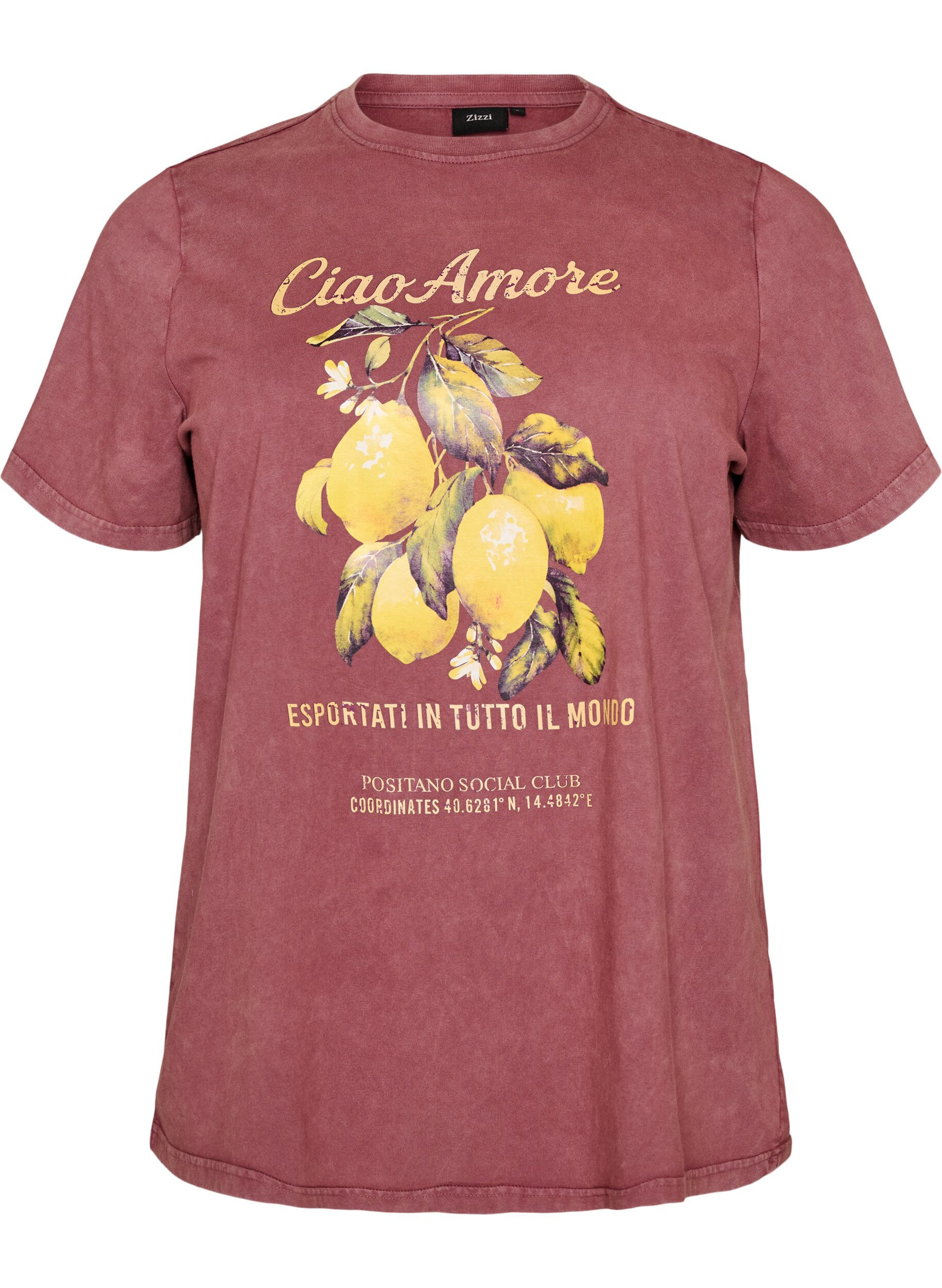 Zizzifashion Cotton T-shirt with front print and a washed look, Red, Packshot image number 0
