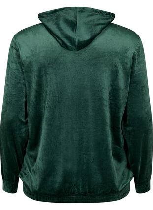 Velour cardigan with zipper and hood, Scarab, Packshot image number 1
