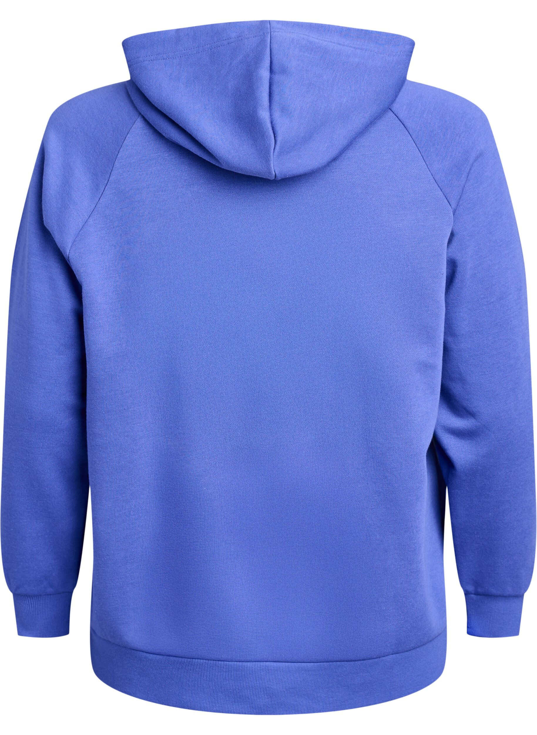 Zizzifashion Hoodie with embroidered front motif, Blue, Packshot image number 1