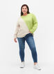 Knitted blouse with round neck and colorblock, Tender Shoots Comb, Model image number 2