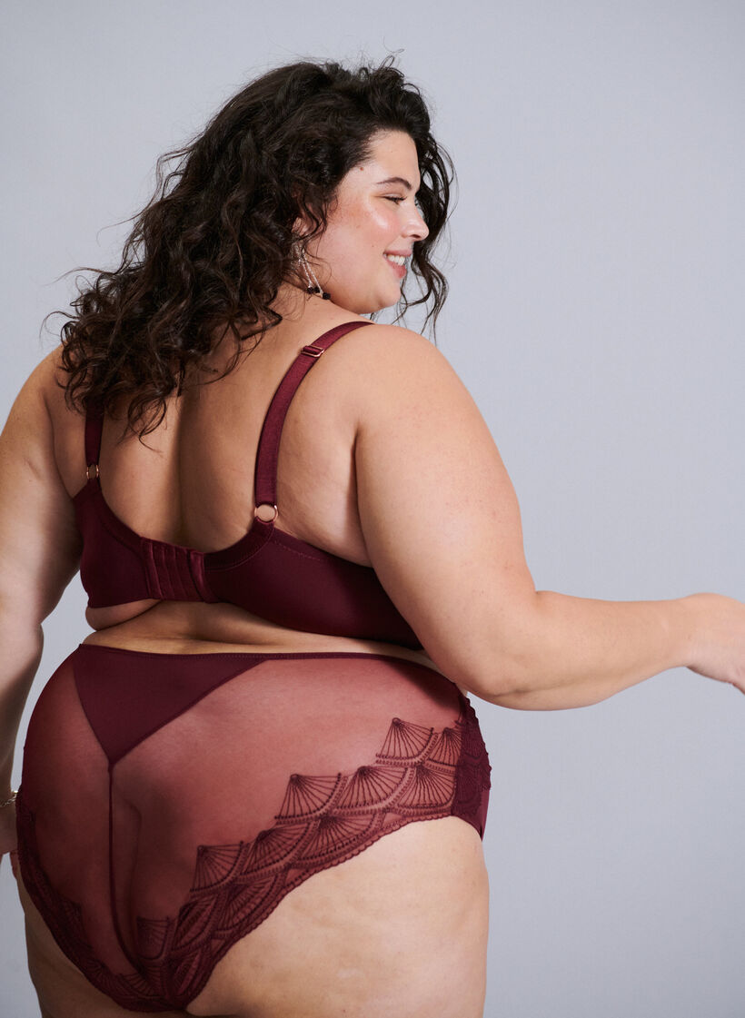 Briefs with mesh and embroidered lace trims, Red, Image image number 0