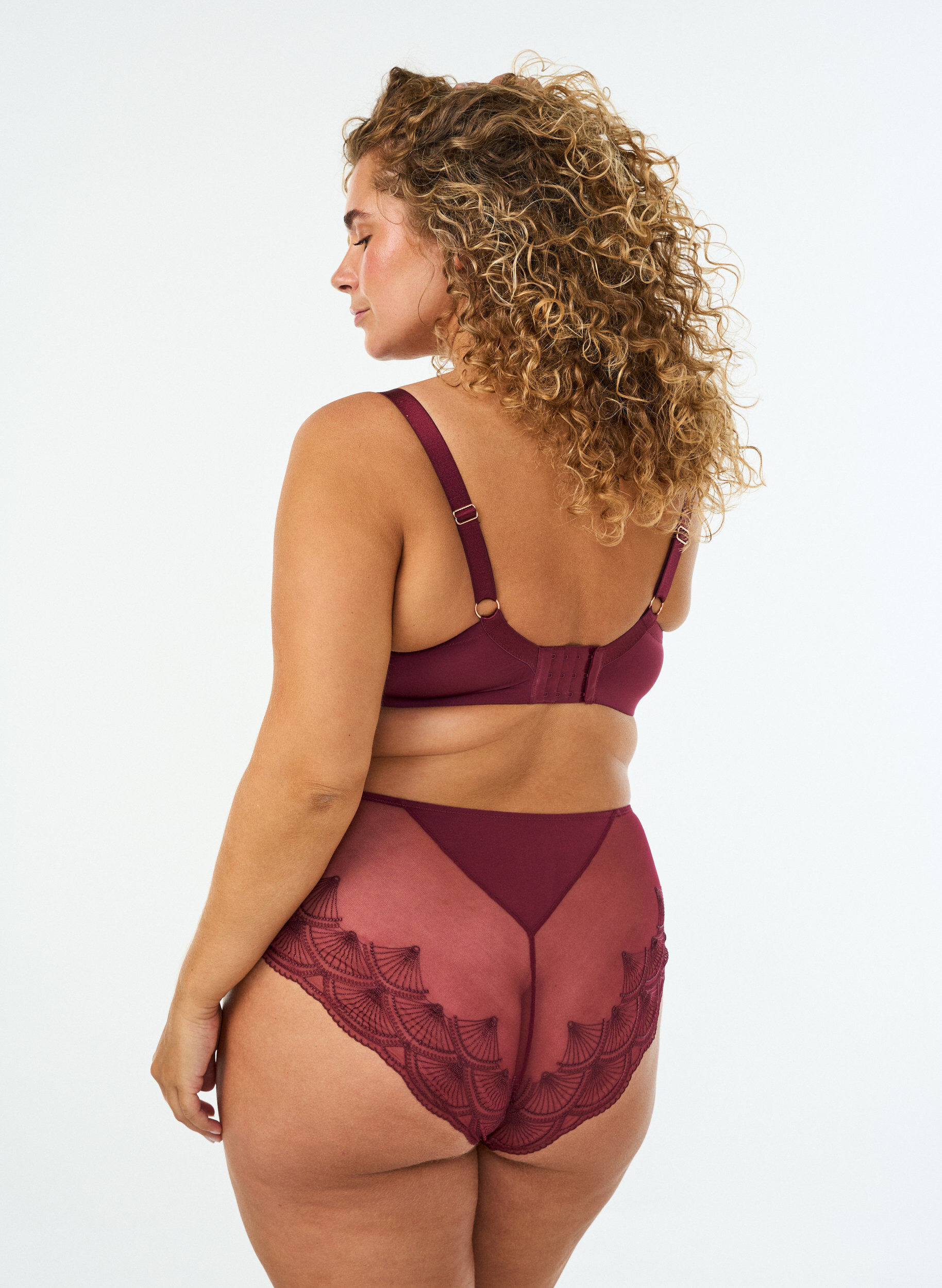ZizzifashionBriefs with mesh and embroidered lace trims, Red, Model image number 1
