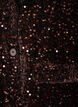 Sequin blazer, Brown, Packshot image number 2