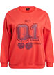 Sweatshirt with front motif, Red, Packshot image number 0