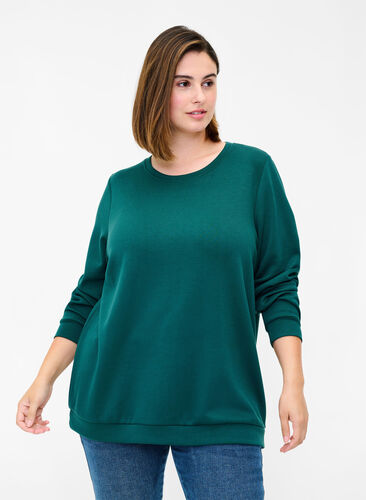Sweat blouse with round neck and long sleeves, Ponderosa Pine, Model image number 0
