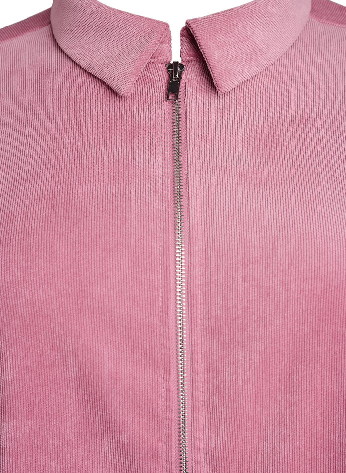 Corduroy dress with zipper and 3/4 sleeves, Rose, Packshot image number 2
