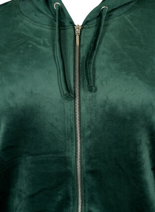 Velour cardigan with zipper and hood, Scarab, Packshot image number 2