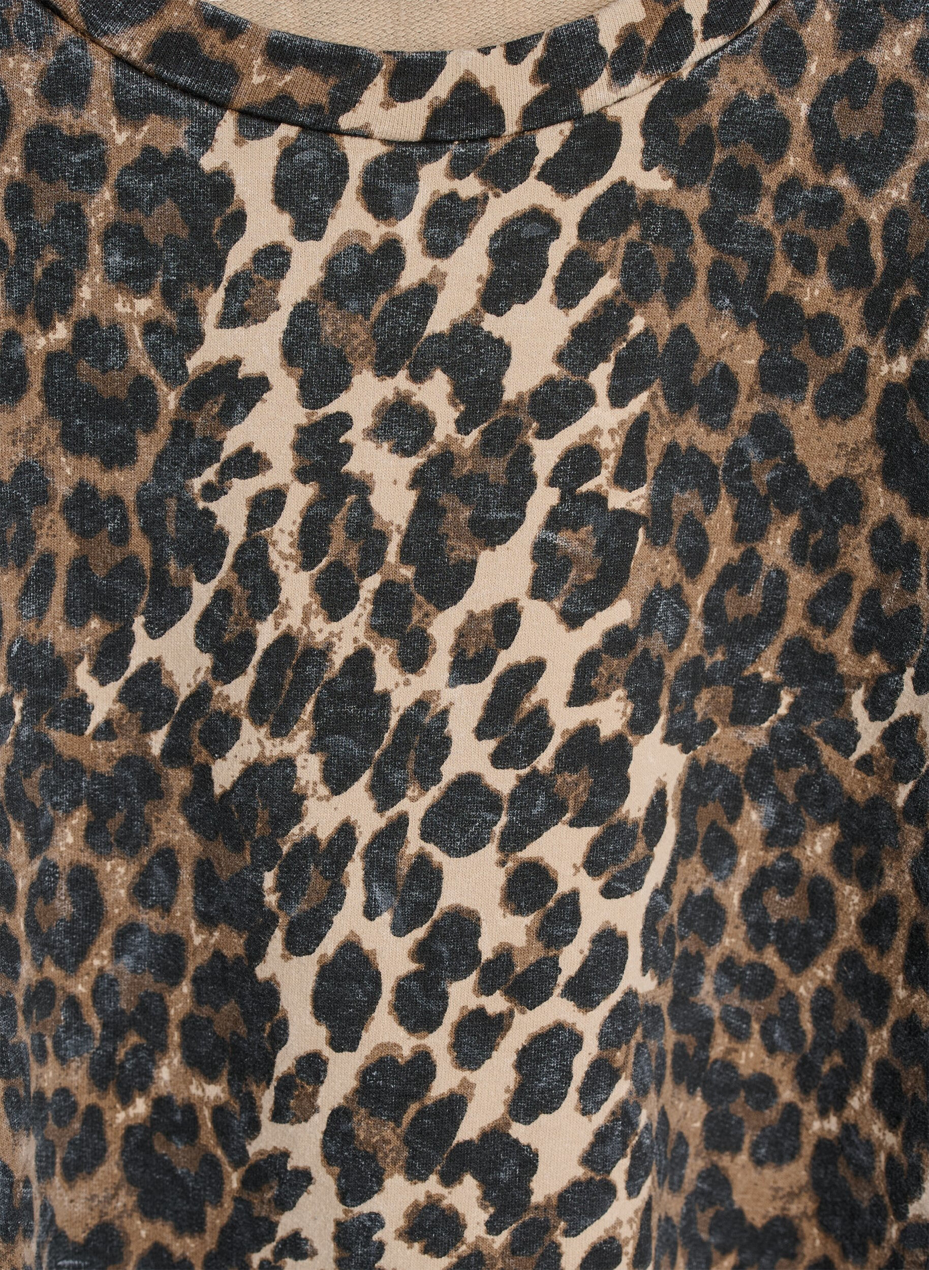 Zizzifashion Washed sweatshirt with leopard print, Brown, Packshot image number 2