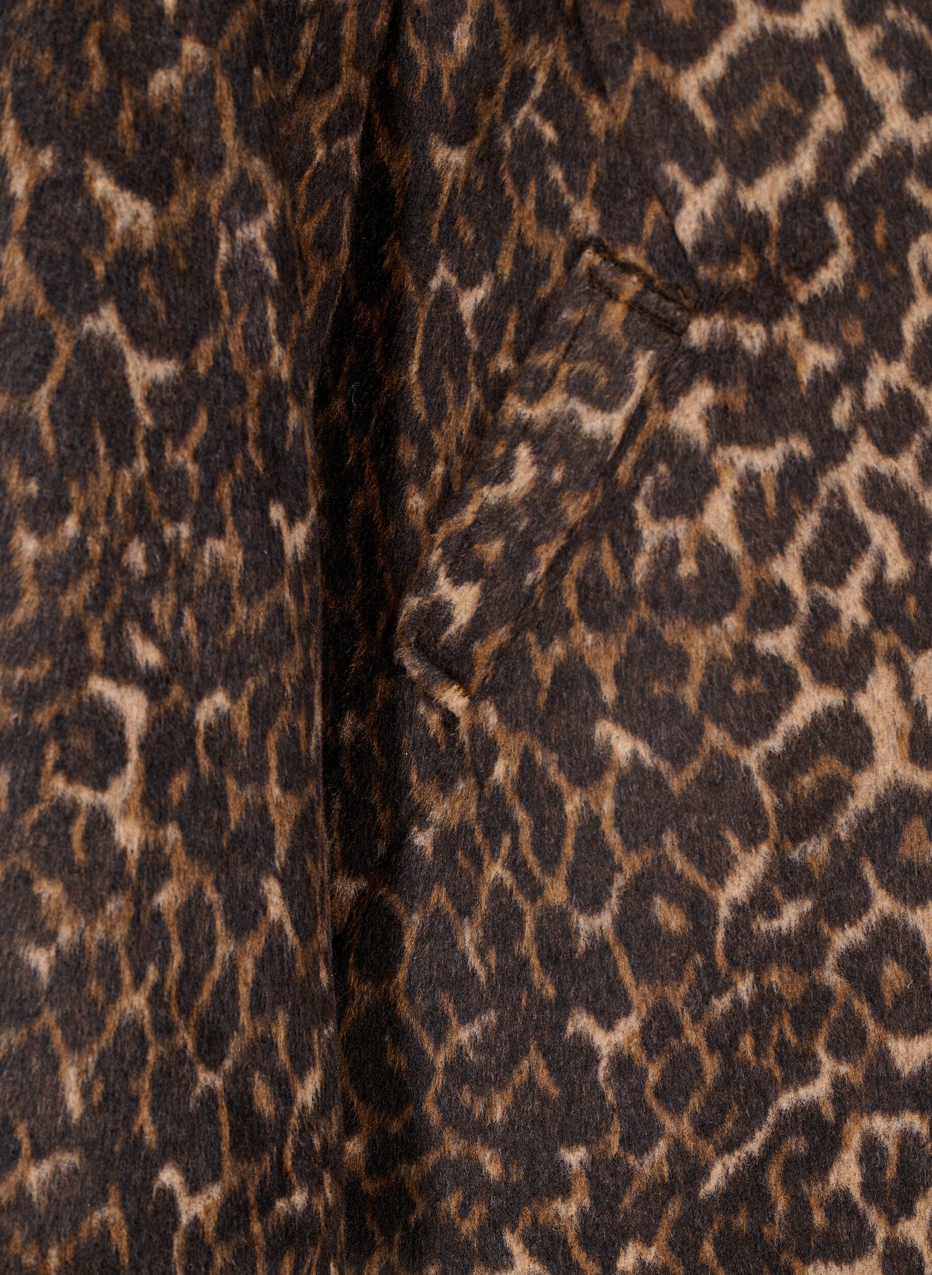 Zizzifashion Leopard print coat with double-breasted button closure, Brown, Packshot image number 3