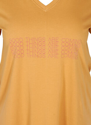 Cotton t-shirt with a v-neck and front print, Apple Cinnamon, Packshot image number 2