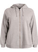 Hoodie with zip, Grey, Packshot image number 0