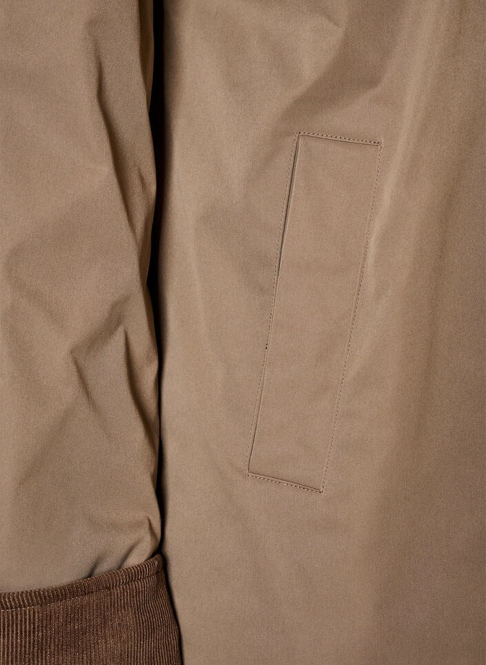 Lightly padded jacket with a corduroy collar, Brown, Packshot image number 3
