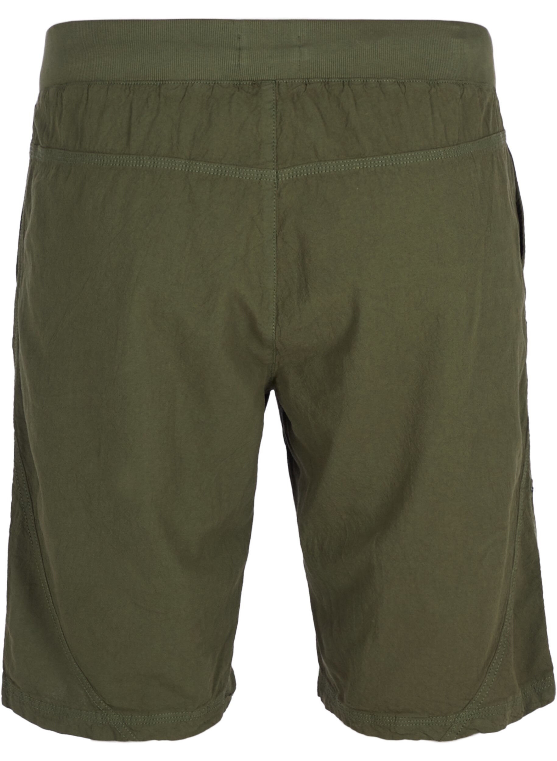 Zizzifashion Shorts, Ivy green, Packshot image number 1