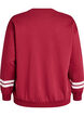 Sweatshirt with statement detail, Red, Packshot image number 1