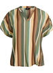 Striped viscose blouse with short sleeves, Brown, Packshot image number 0