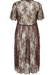 Sheer lace midi dress with short sleeves, Brown, Packshot image number 1