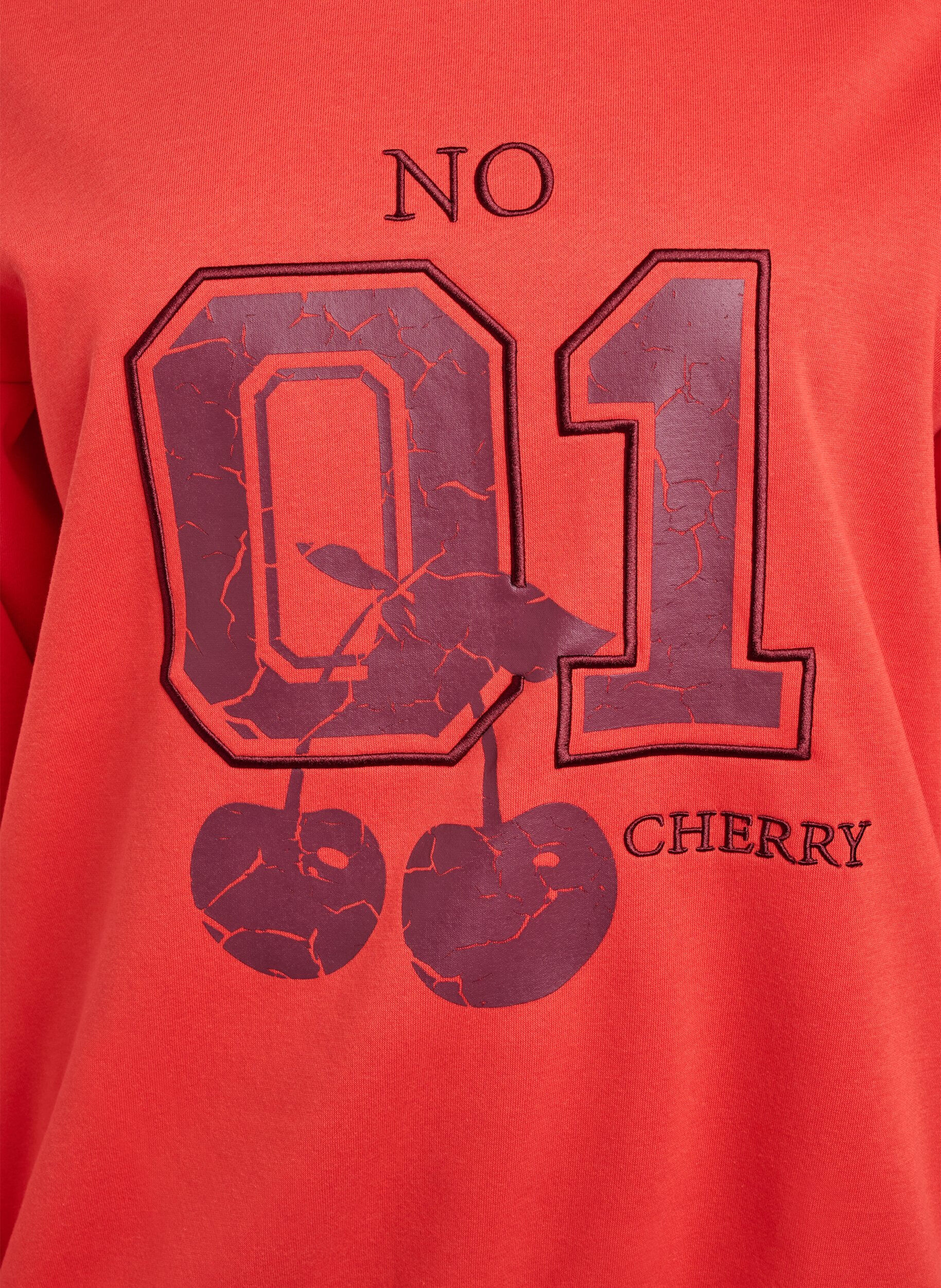 ZizzifashionSweatshirt with front motif, Red, Packshot image number 2