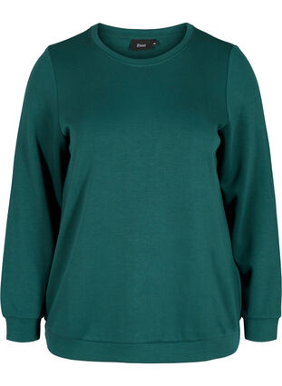 Sweat blouse with round neck and long sleeves, Ponderosa Pine, Packshot image number 0