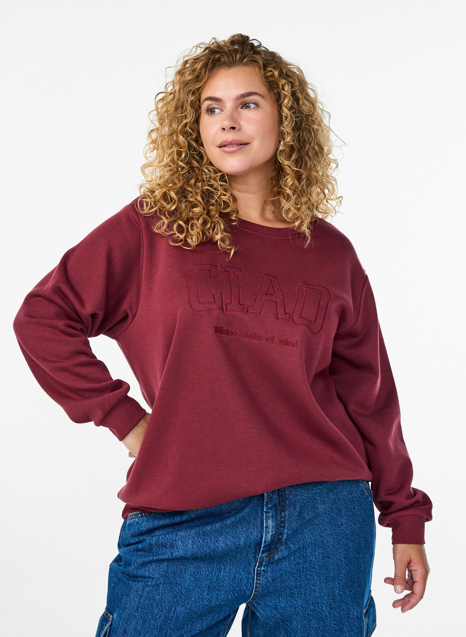 Sweatshirt with embroidered Milan motif, Dark Bordeaux, Model
