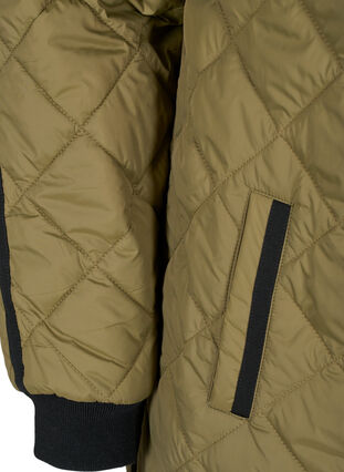 Quilted thermal jacket with hood and zipper, Forest Night, Packshot image number 3