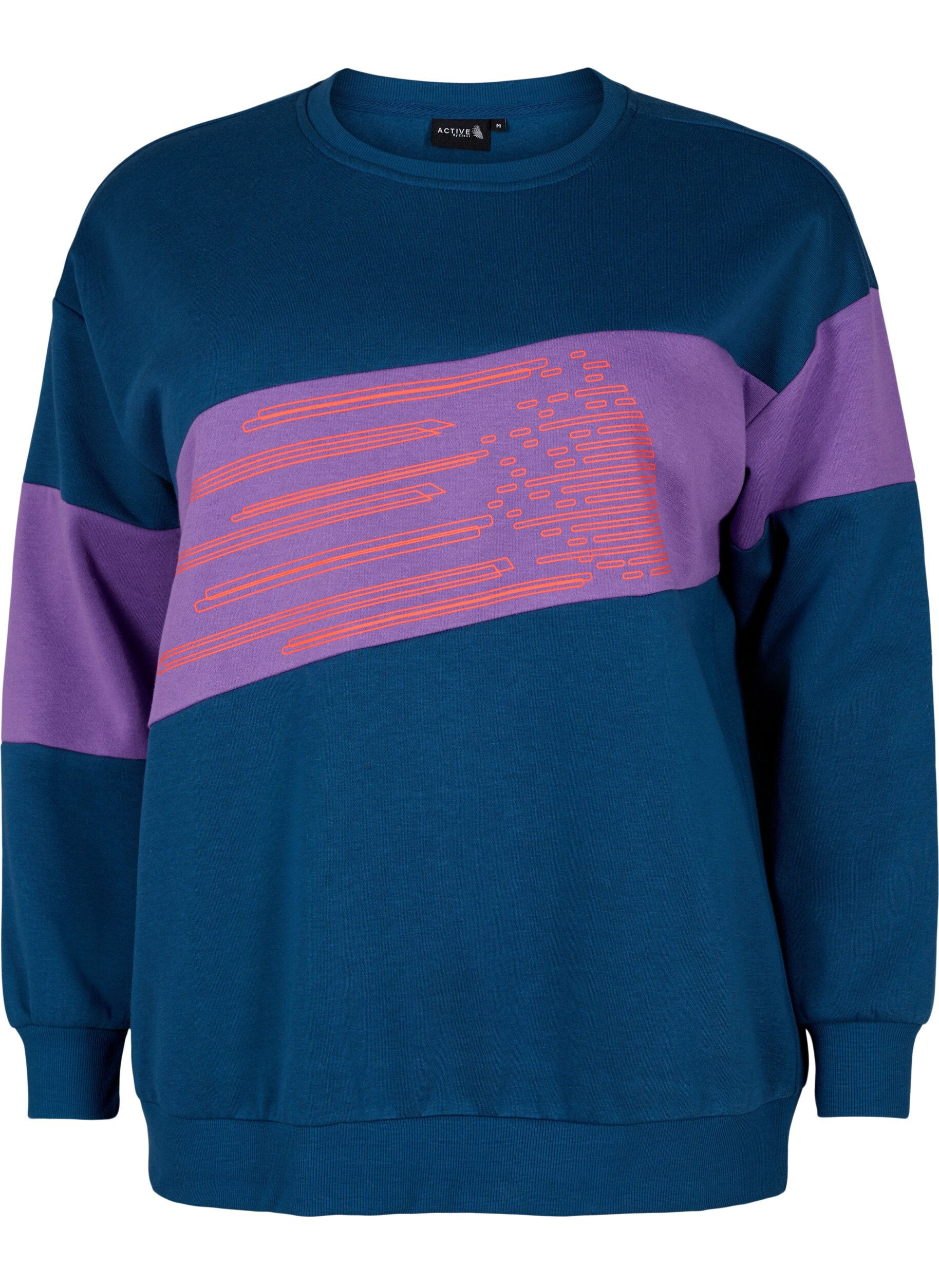 Zizzifashion Sweatshirt with sporty print, Blue Wing Teal Comb, Packshot image number 0